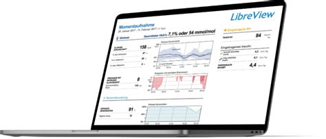 lsi breb|libreview inloggen.